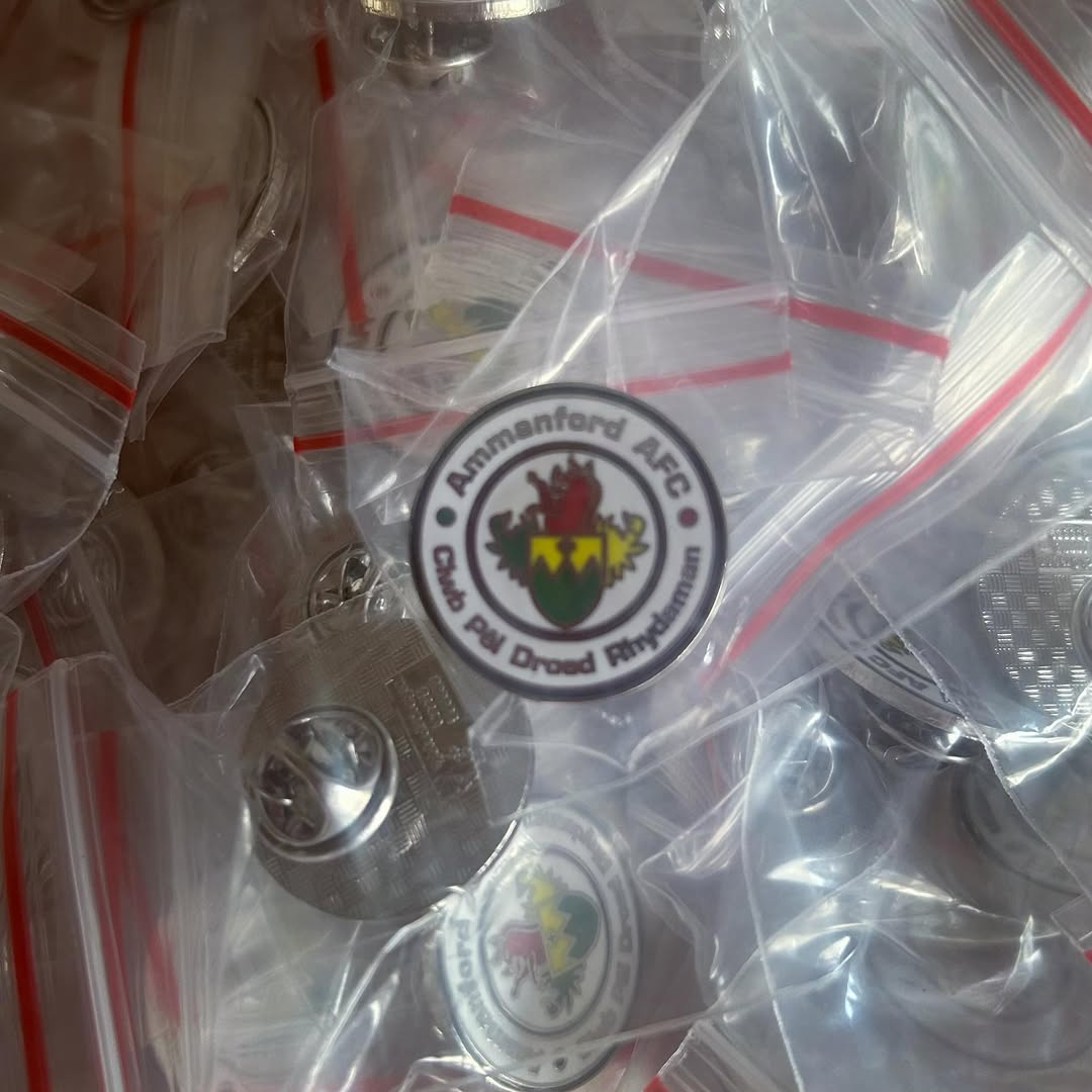 Pin Badges - Logo
