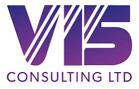 V15 Consulting